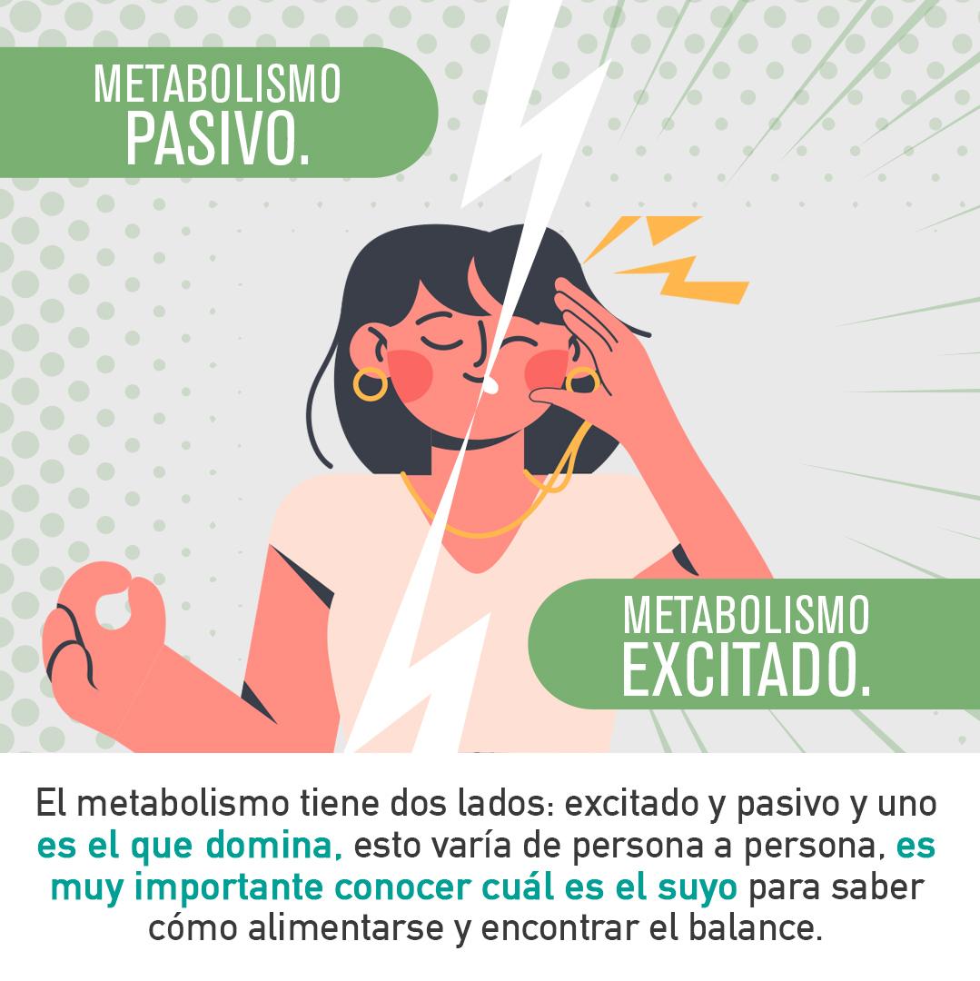 Excited or passive metabolism? Get to know your nervous system